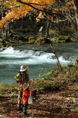 幌別川流域・森と水辺の里山づくり1