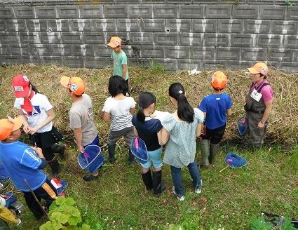 第5回吉田川公園調査＆水槽展示