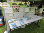 第5回吉田川公園調査＆水槽展示3