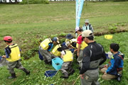川の生き物観察会3