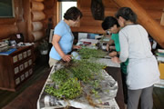 「タイキ・フローラ」植物調査・観察会3