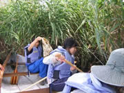 海外ボランティアによる大沼の水質浄化活動2