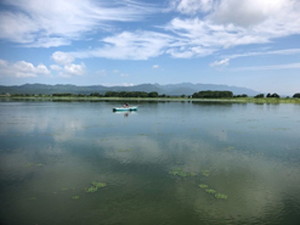 宮島沼
