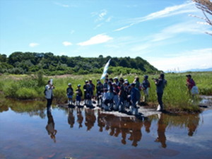 宮島沼