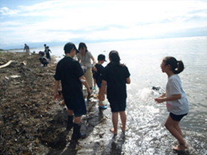 宮島沼