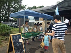 宮島沼