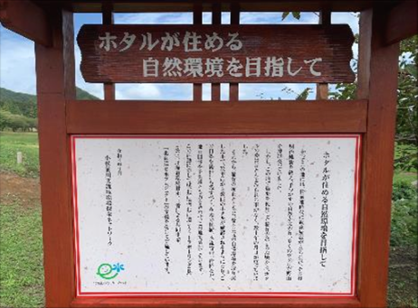 e-水