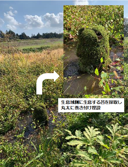 e-水