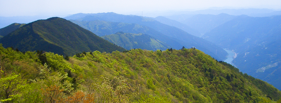 静岡県