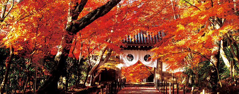 京都府長岡京市
