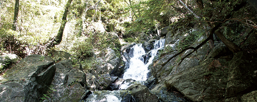 福岡県篠栗町