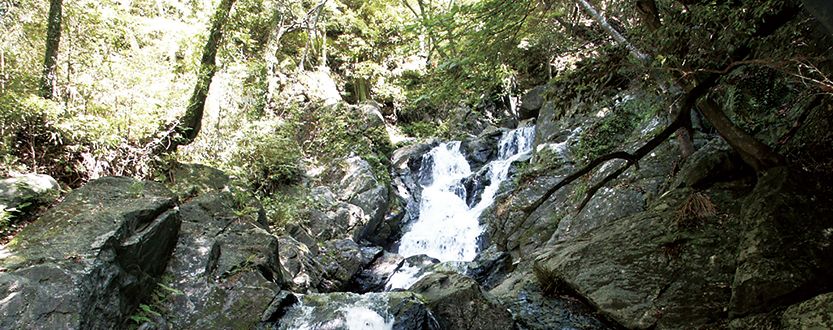 岩手県葛巻町