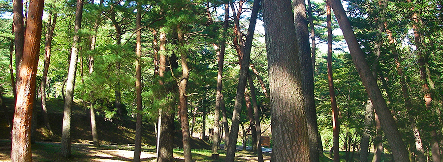 静岡県