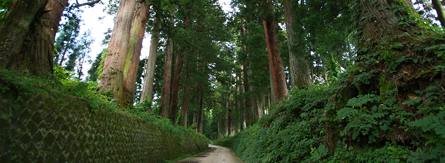 栃木県日光市