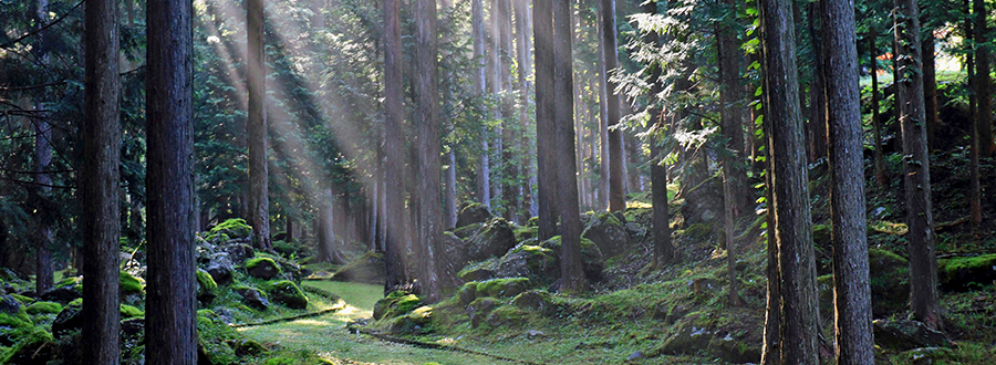 静岡県