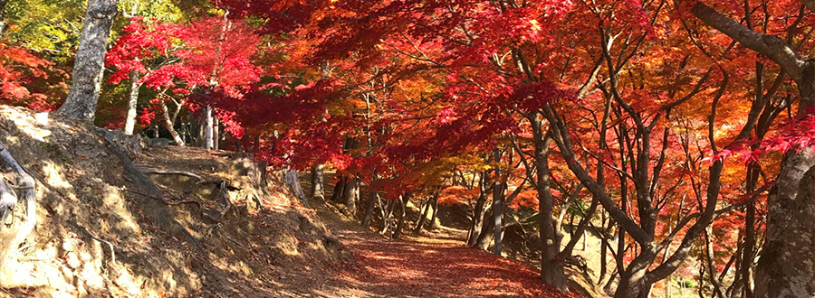 兵庫県宍粟市