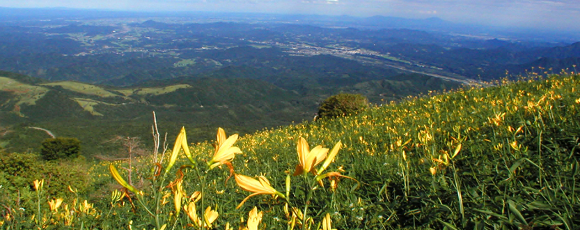 栃木県日光市