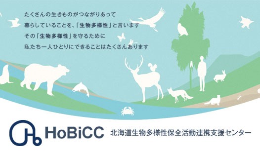 HoBiCC